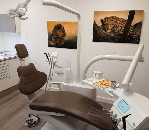 Behandlungszimmer mit braunem Behandlungsstuhl, an der Wand Fotografien eines Löwen und eines Leoparden