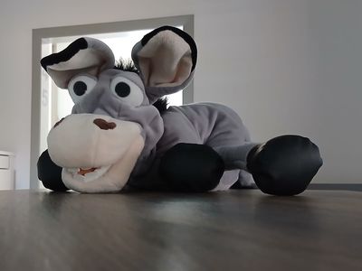 Horst, die graue Esel-Handpuppe der Praxis, liegt auf einem Tisch